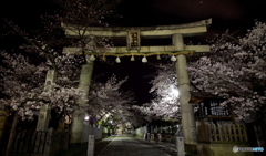 門