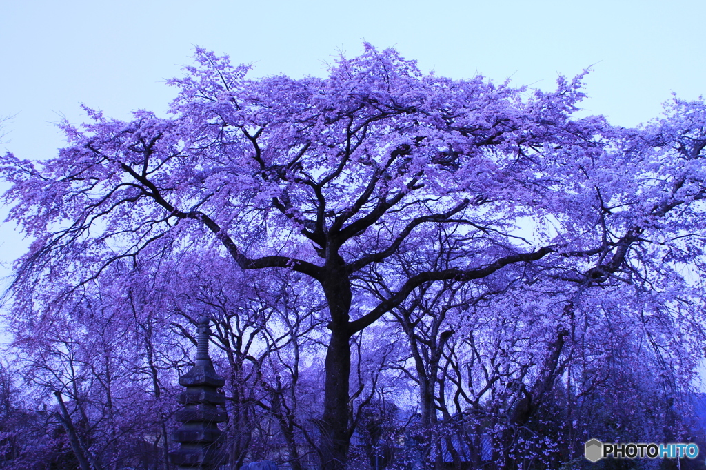 夜明け前