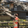 京都ならではの