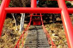 名も無き神社2