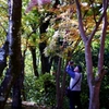 ベレー帽のおじさん