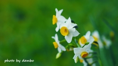 春かおる ＜8＞