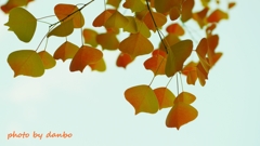 心通じる ＜3＞