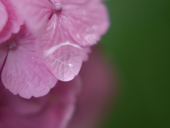雫