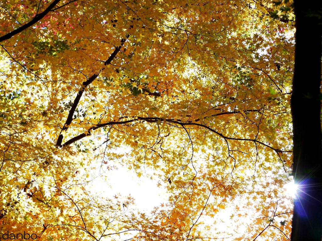 『瞬』