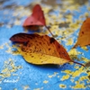 Fallen leaves　＜11＞ 「ブルーテーブル」