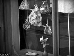 show window