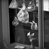 show window