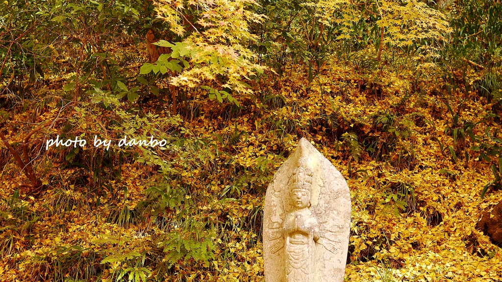 Fallen leaves　＜4＞ 「黄色い世界で微笑む」