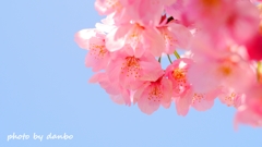 陽光 ＜2＞