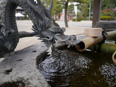 龍