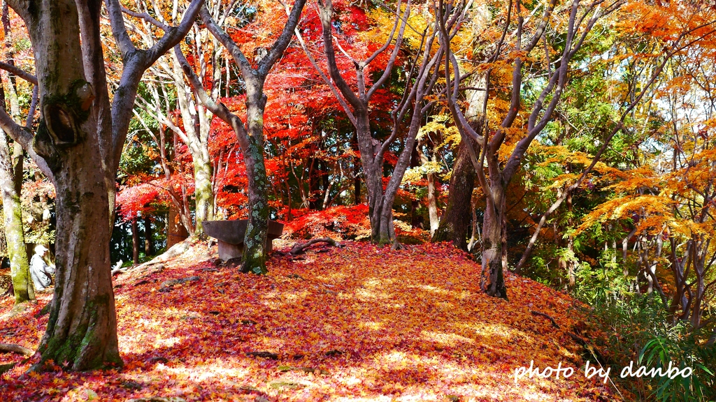 Autumn Falls ＜8＞