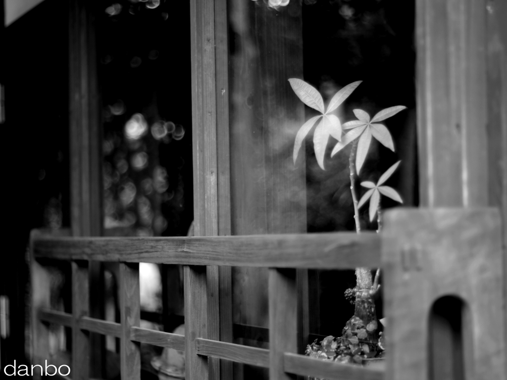 window