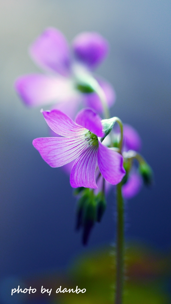 心の輝き ＜7＞