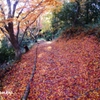 Autumn Falls ＜5＞