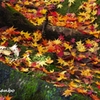 Autumn Falls ＜1＞