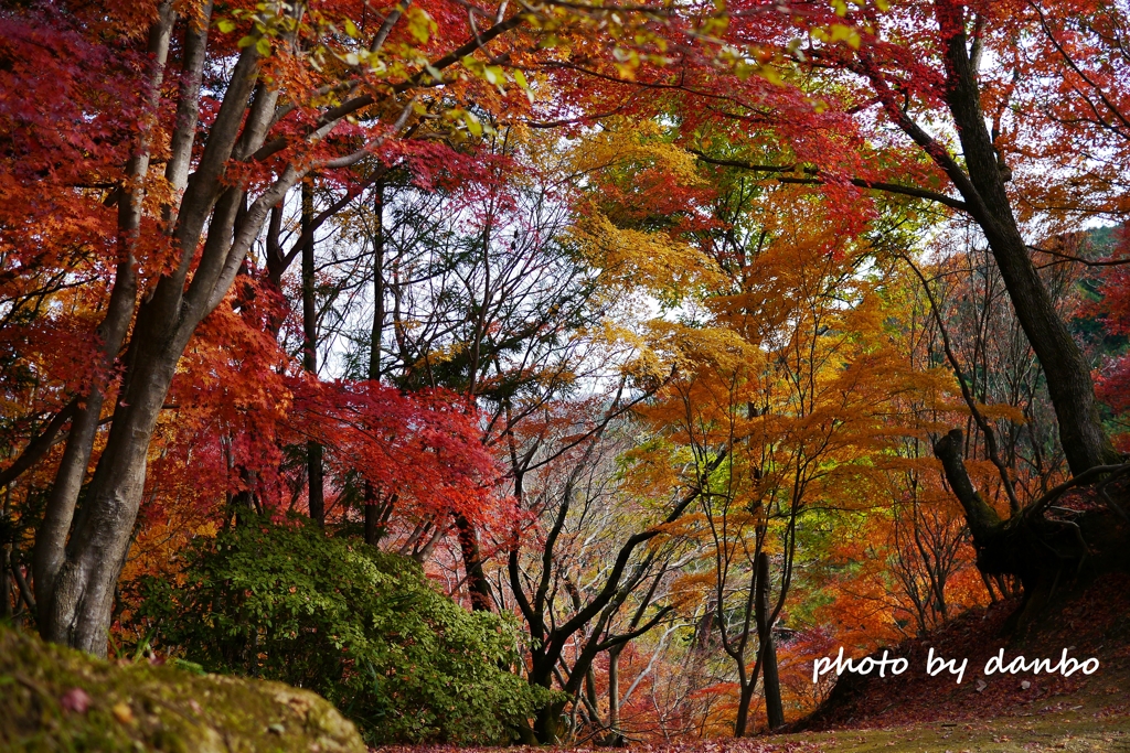 秋峠