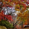 秋峠