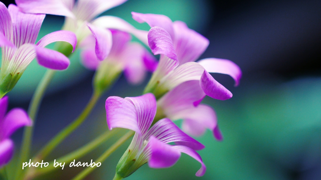 心の輝き ＜6＞