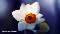 春かおる ＜10＞