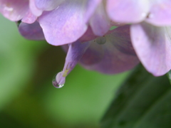 雫
