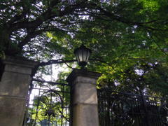 IMGP0756