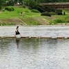 鴨川・飛び石・走る