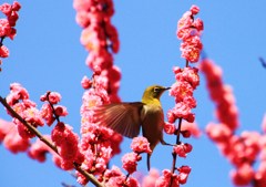 お～はしゃぎ♪♪♪