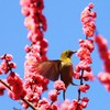 お～はしゃぎ♪♪♪