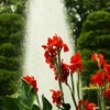 夏 色