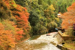 高雄・清滝川の清流