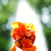 未だ夏！