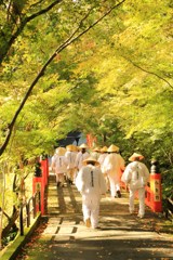 お遍路さんが行く