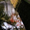 紅葉の琵琶湖疏水