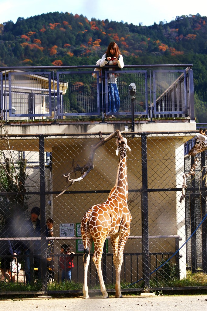 綺麗に撮ってね・・・
