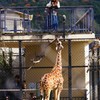 綺麗に撮ってね・・・