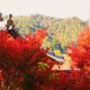 炎上