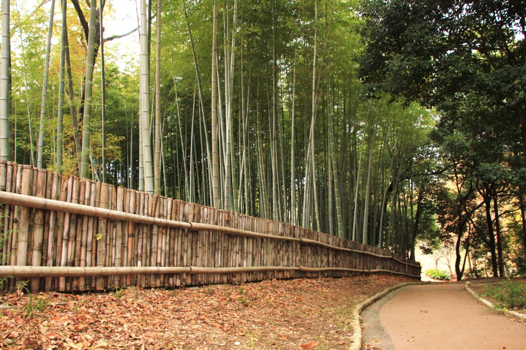 竹林の細道