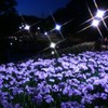 水無月夜景