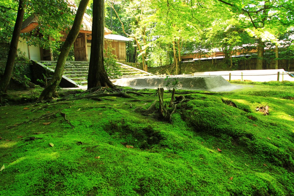 緑の庭園