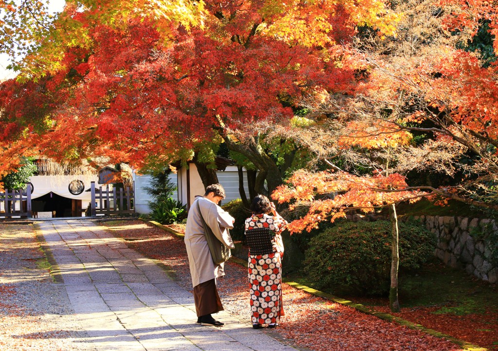 紅葉の参道で遊ぶ♫