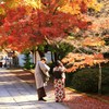 紅葉の参道で遊ぶ♫