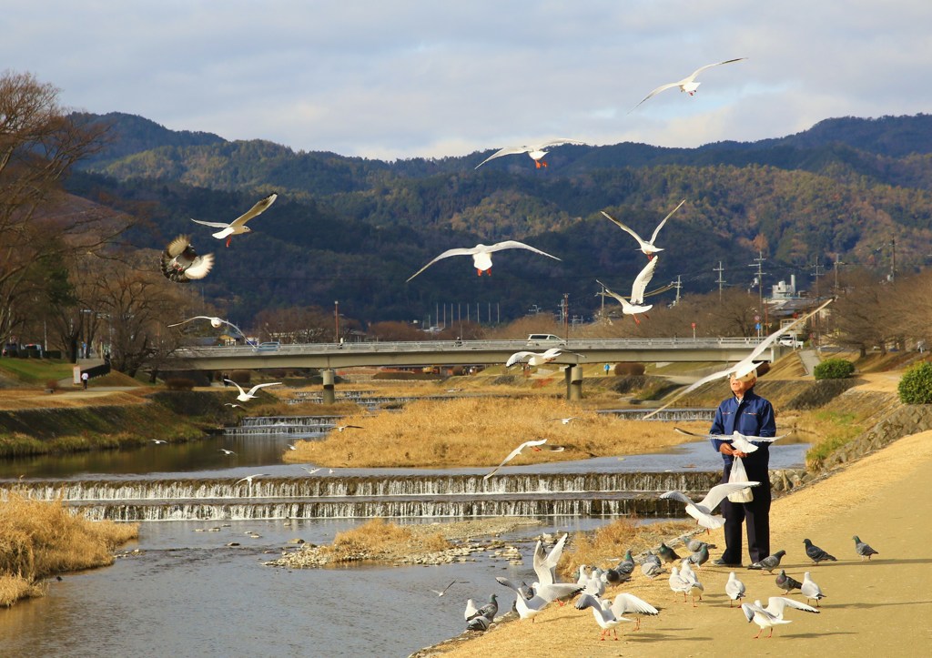 鴨川好日
