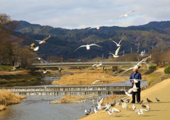 鴨川好日