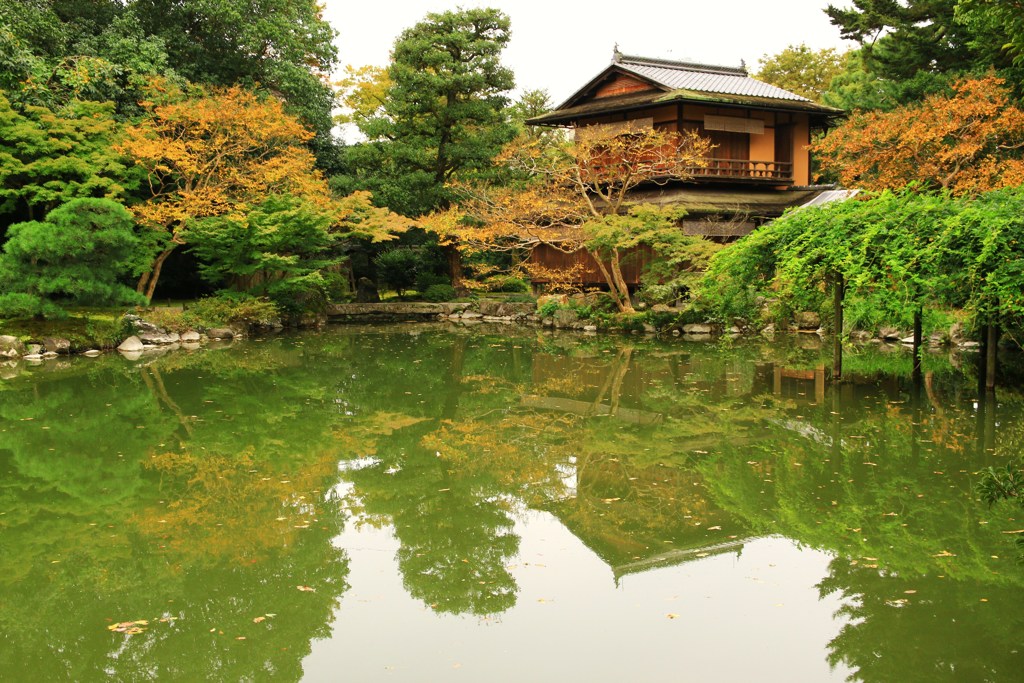 京都御所の秋＃九条池＃