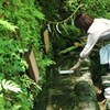 水占い
