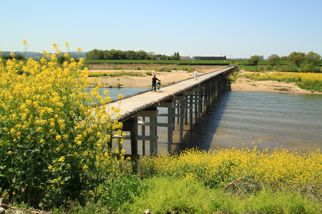 ＊流れ橋＊復旧開通②