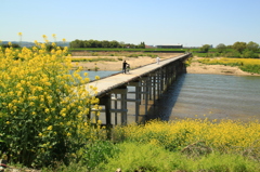 ＊流れ橋＊復旧開通②