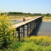 ＊流れ橋＊復旧開通②