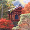 燃える鐘楼
